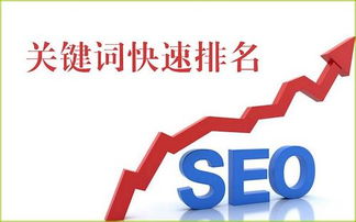 做seo优化的需要会PS吗